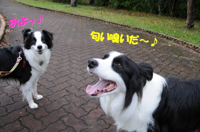 c0147241_18391559.jpg