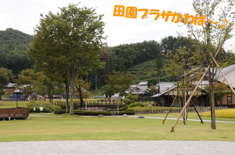 c0147241_18392037.jpg
