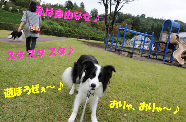 c0147241_18393041.jpg