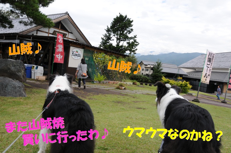 c0147241_18393559.jpg