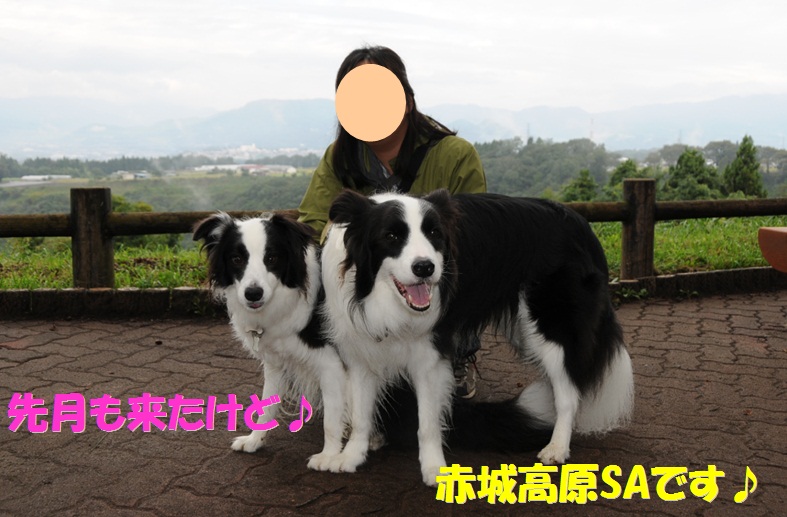 c0147241_1839487.jpg
