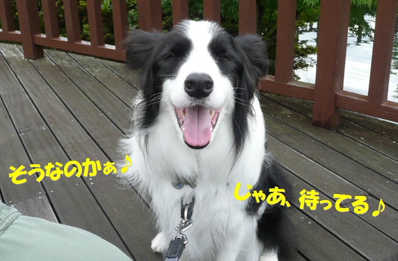 c0147241_18401517.jpg