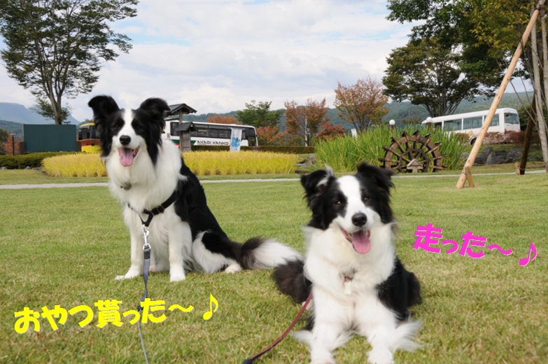 c0147241_1841190.jpg