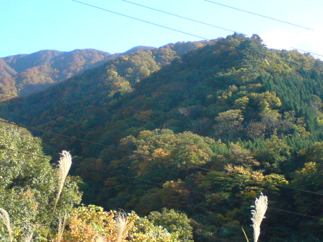 c0104445_22275552.jpg