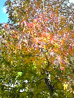 b0200747_0472842.jpg