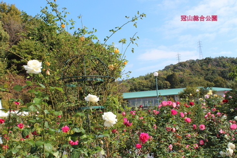 a0249051_11315870.jpg