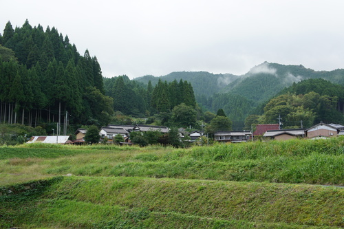 d0146153_16205559.jpg
