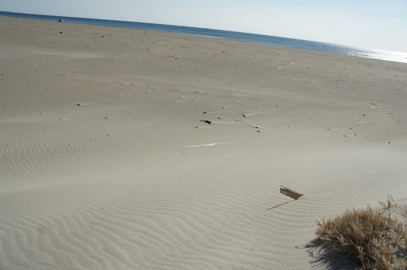 e0285154_23101530.jpg