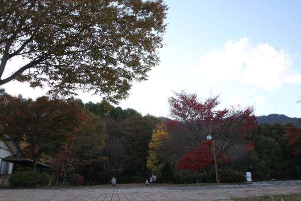 f0160554_20563266.jpg