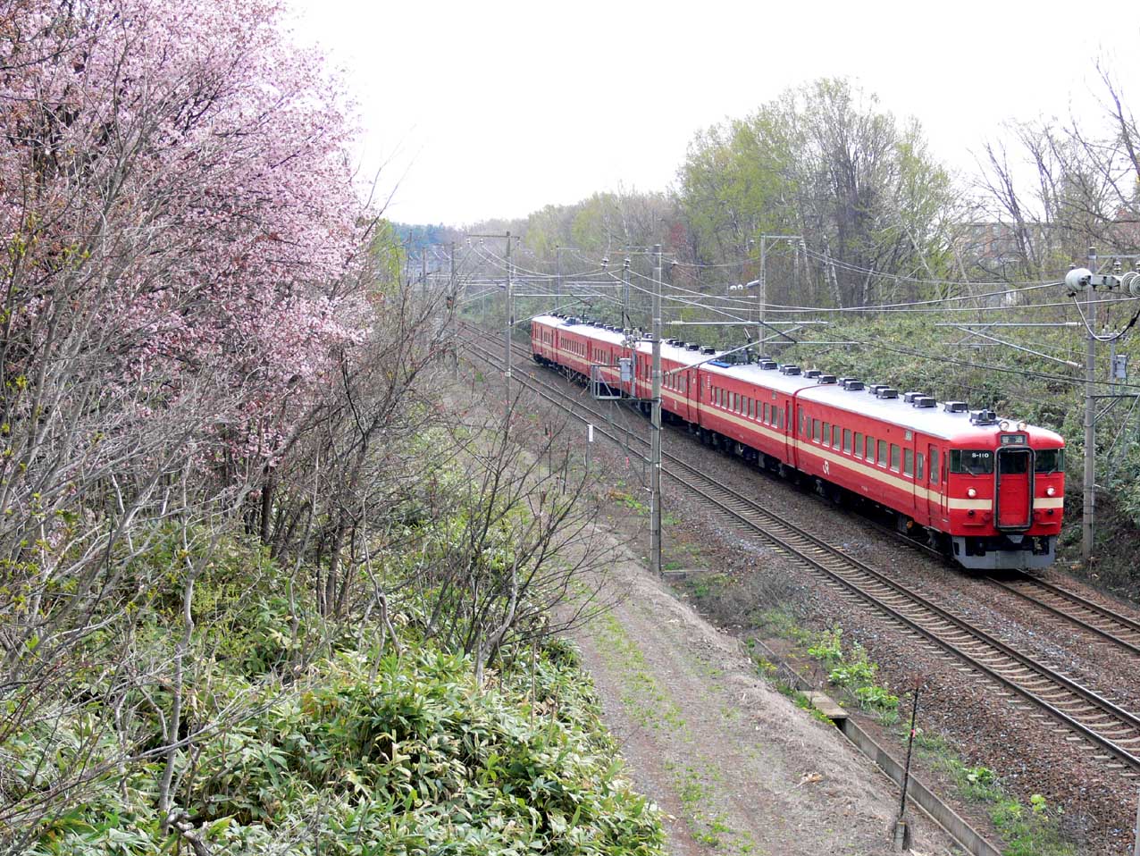 f0027355_023444.jpg