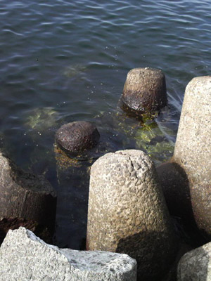 b0176757_2049926.jpg