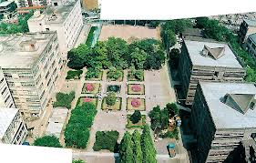 c0119160_1549159.jpg