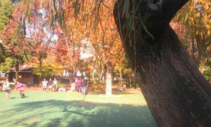 c0119160_15581739.jpg