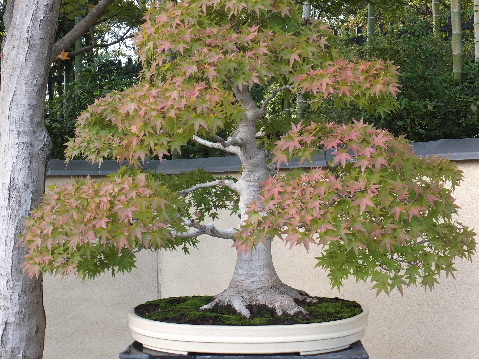 e0088260_21275567.jpg