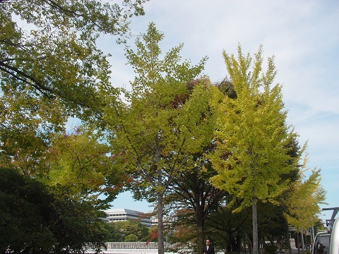 b0194872_23551755.jpg