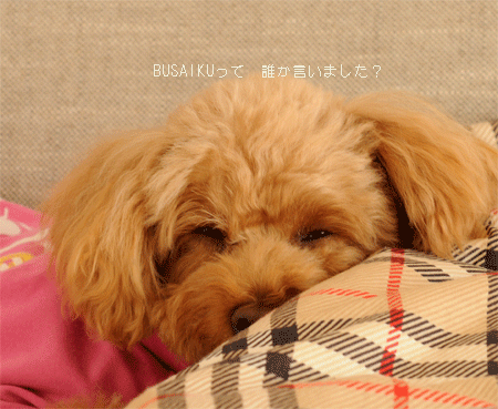 c0196673_1116848.gif
