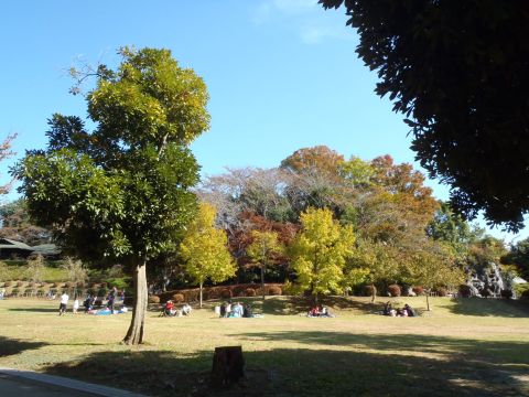 f0047773_20413371.jpg