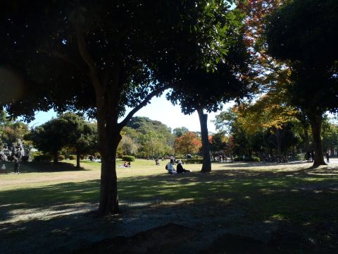 f0047773_2042866.jpg