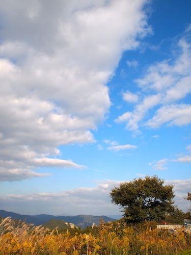 a0232774_1048467.jpg
