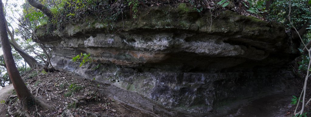 f0054075_1722420.jpg
