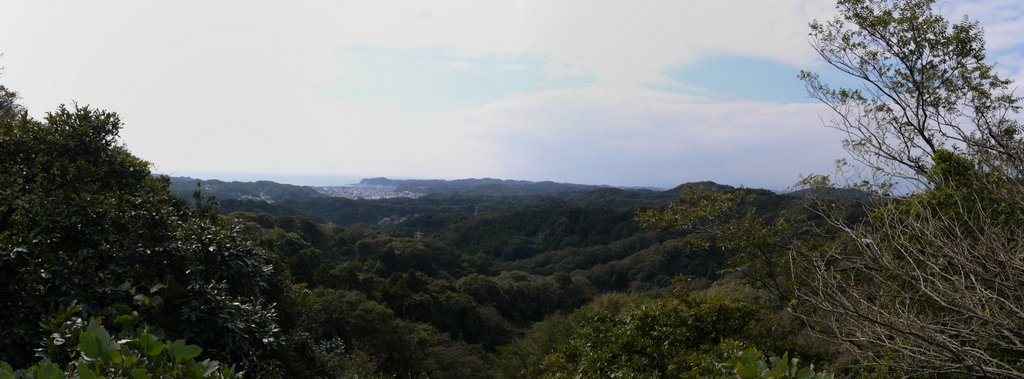 f0054075_1784664.jpg