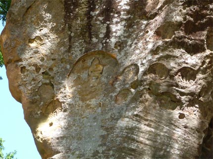 c0024176_21214754.jpg