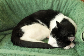 f0054677_6575441.jpg