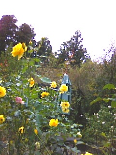b0138478_22434488.jpg