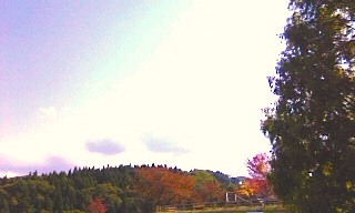 b0138478_2322726.jpg