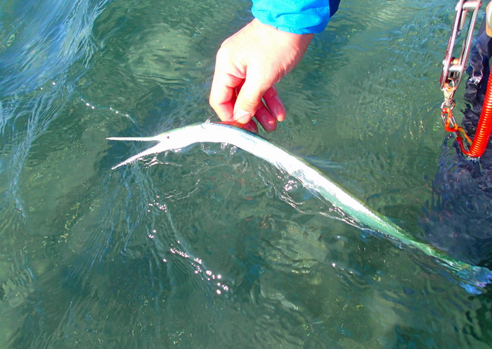 c0197578_2354356.jpg