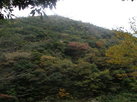 c0228378_15574261.jpg