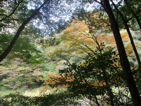 c0228378_15582157.jpg