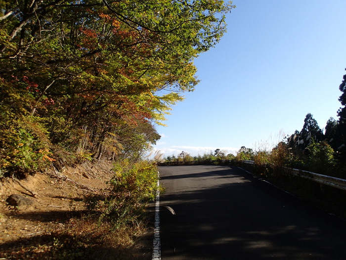 a0279883_15333785.jpg