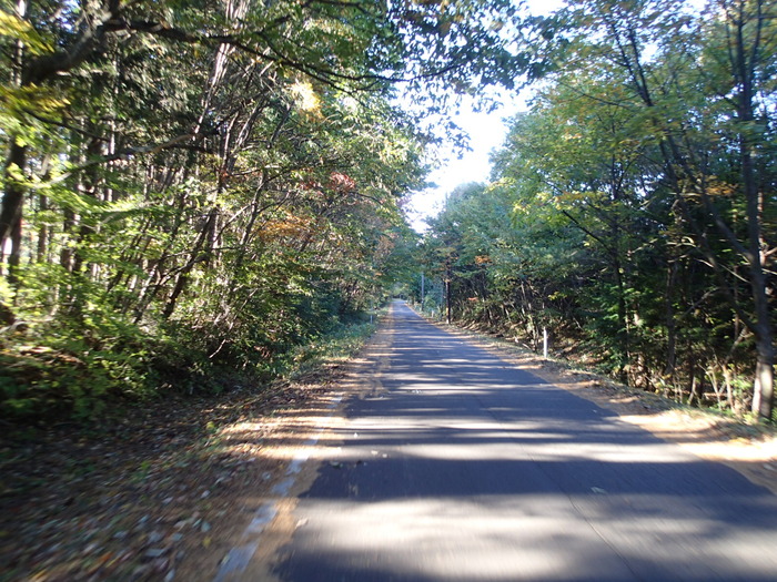 a0279883_15413923.jpg