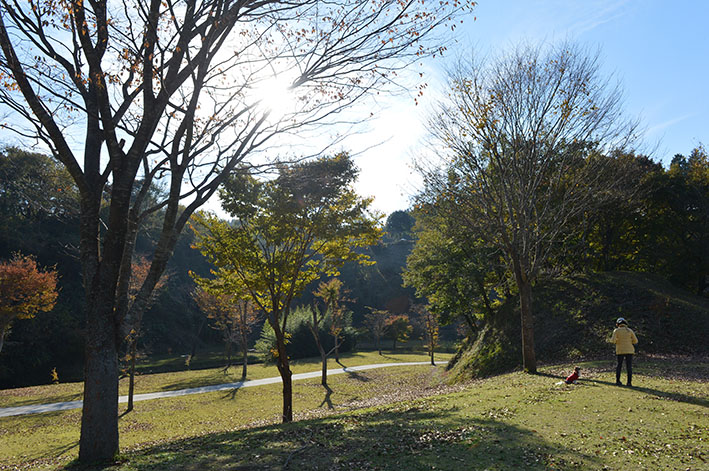 f0112087_174993.jpg