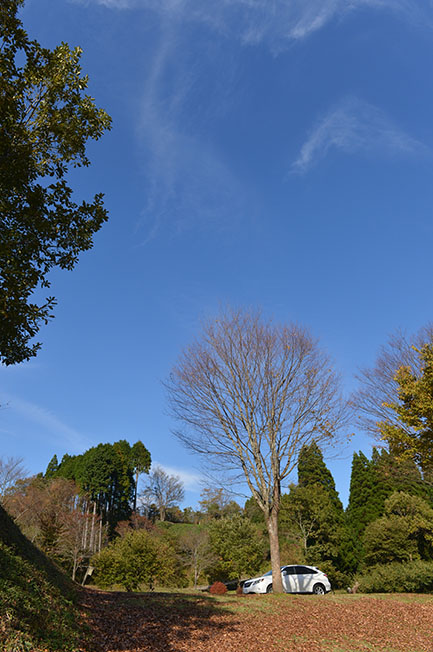 f0112087_1957287.jpg