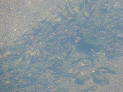 c0146788_18145123.jpg