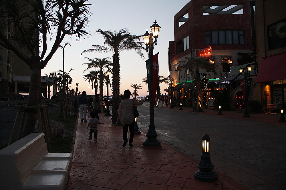 e0204891_176509.jpg