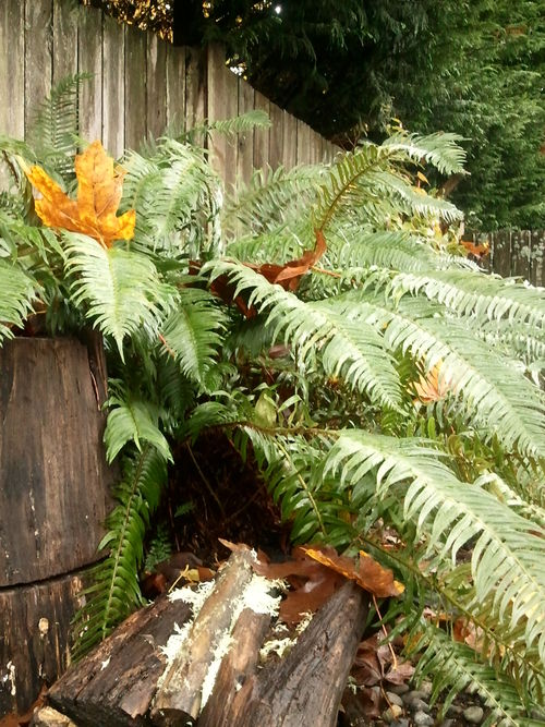 b0283192_1151913.jpg