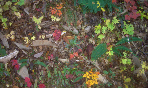 b0099994_11442875.jpg