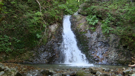 f0015796_22191553.jpg
