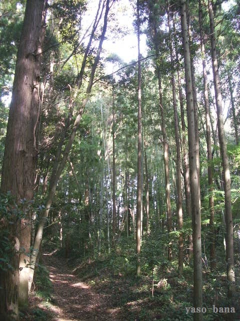 e0025300_20282098.jpg