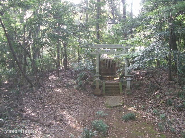 e0025300_20294331.jpg
