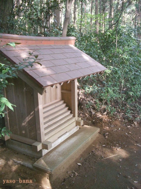 e0025300_20301987.jpg