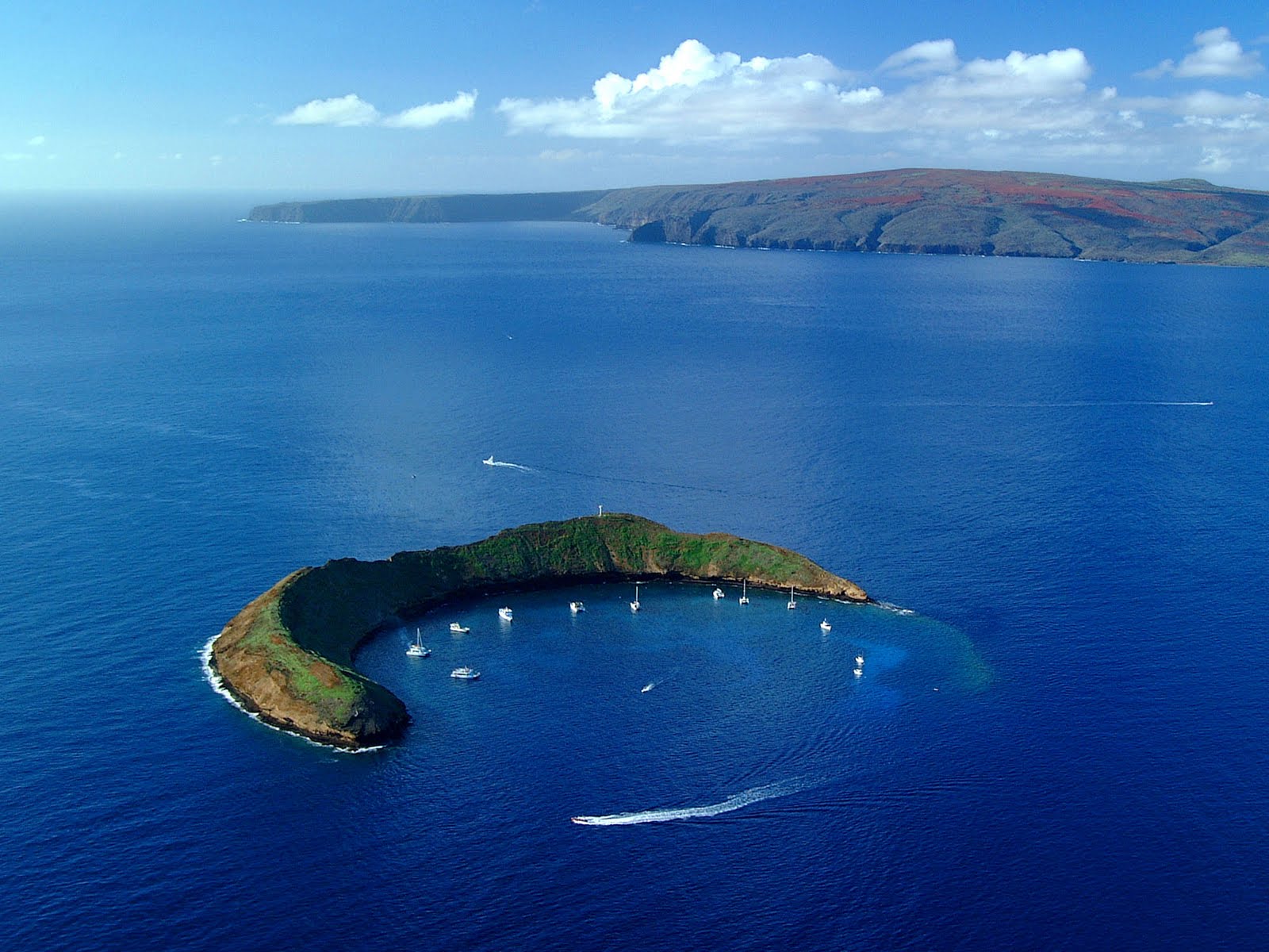 c0072801_8492168.jpg