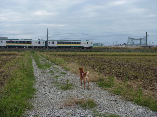 b0283404_20331760.jpg