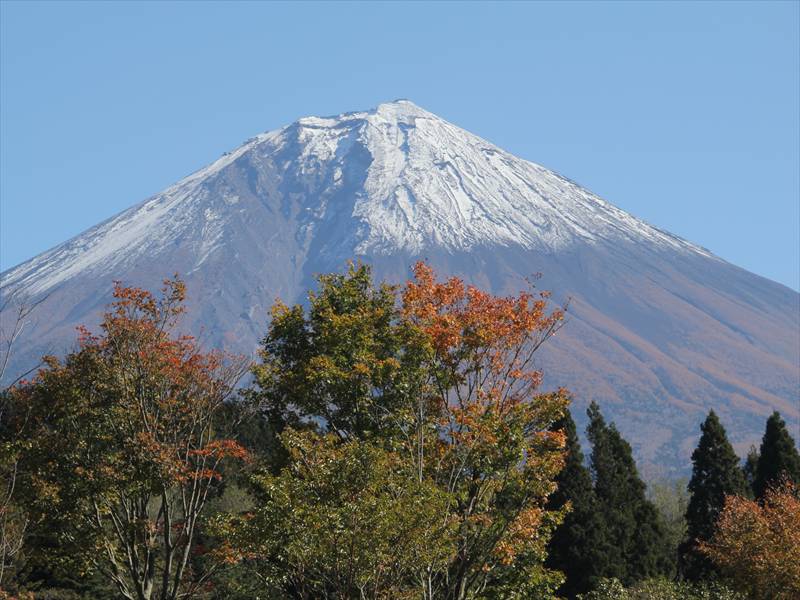 a0188405_23474067.jpg