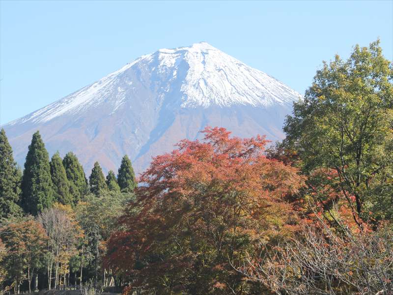 a0188405_23475496.jpg