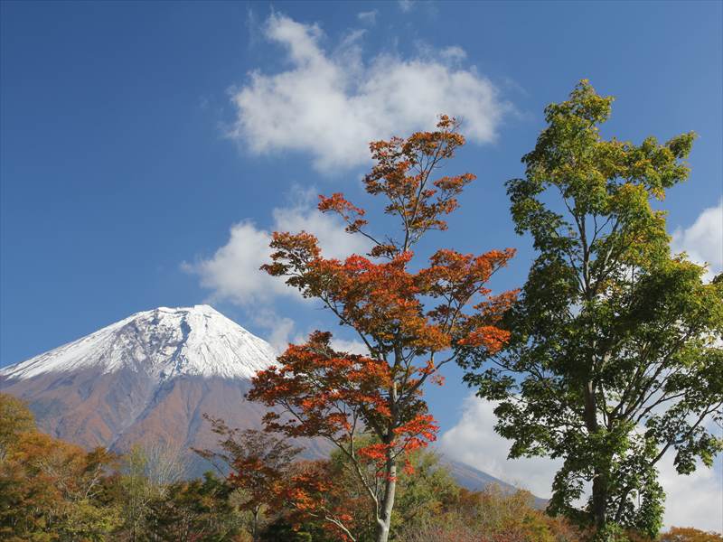 a0188405_23493228.jpg