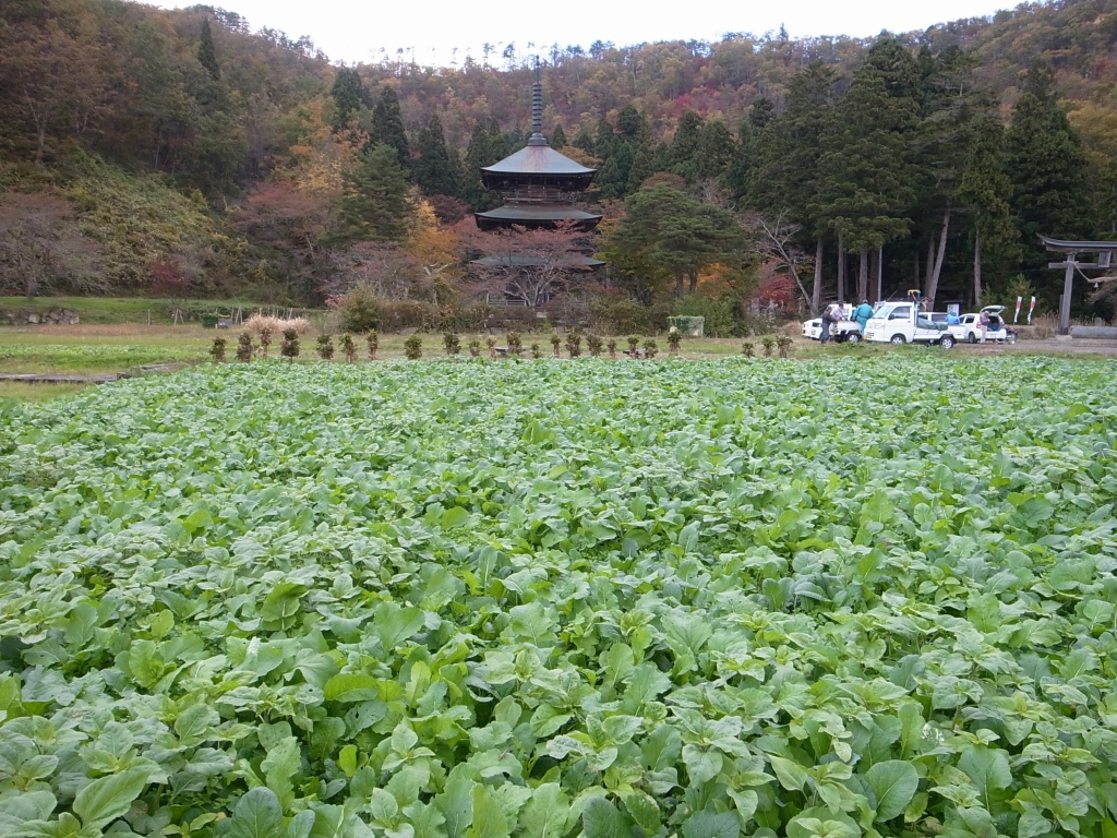 b0050305_20402838.jpg